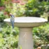 Ceramic Bird Bath On Pedestal 1 Ceramic Bird Bath On Pedestal -KANG Plants Shop pr2000042879