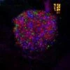 Fit And Forget Multicolour Multifunction LED String Lights -KANG Plants Shop pr2000043497