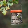 Premium Suet Feeder -KANG Plants Shop pr2000044042