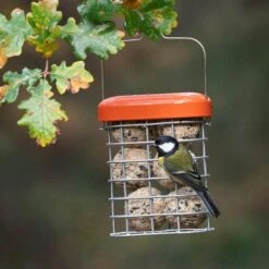 Premium Suet Feeder