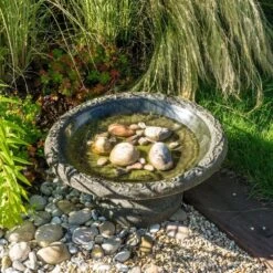 Coniston Birdbath -KANG Plants Shop pr2000044061 card2 lg