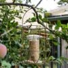 Aura Small Bird Feeder 2 Aura Small Bird Feeder -KANG Plants Shop pr2000044335