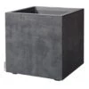 Millennium Cube Anthracite 2 Millennium Cube Anthracite -KANG Plants Shop pr2000044522
