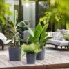 Self-watering Plant Pot - Dark Grey -KANG Plants Shop pr2000044537