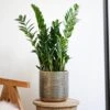 Steel Embossed Plant Pot - Gold -KANG Plants Shop pr2000044668