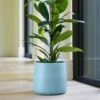 Handthrown Glazed Plant Pot - Light Blue 1 Handthrown Glazed Plant Pot - Light Blue -KANG Plants Shop pr2000044685