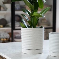 Stoneware Plant Pot & Saucer - White -KANG Plants Shop pr2000044694 card3 lg
