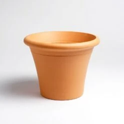 Terracotta Rimmed Pot Large 5 Terracotta Rimmed Pot Large -KANG Plants Shop pr2000044715 card2 lg
