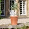 Terracotta Ribbed Flowerpot Small -KANG Plants Shop pr2000044719