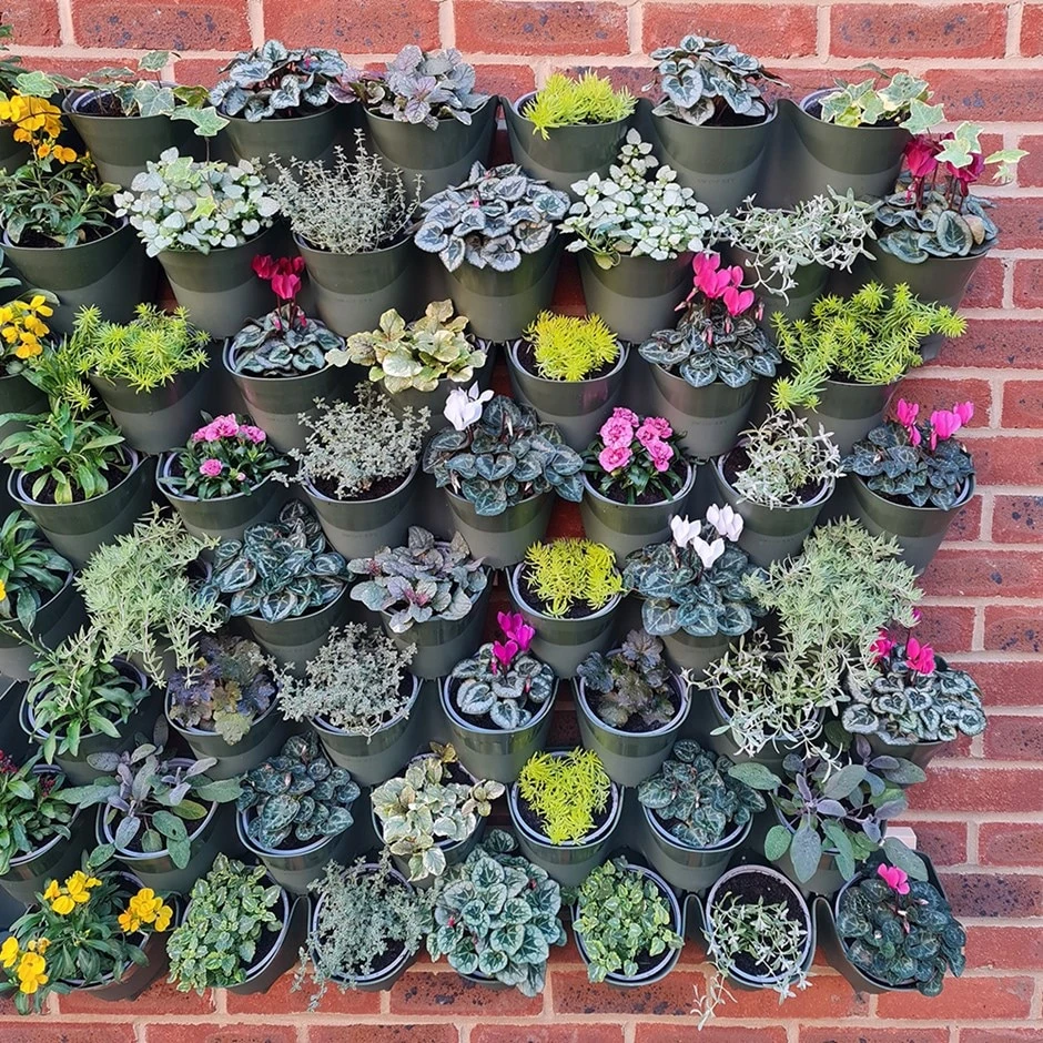 Living Wall Vertical Planting Set - 2.3m2 3 Living Wall Vertical Planting Set - 2.3m2