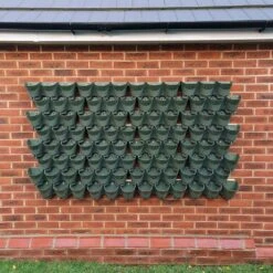 Living Wall Vertical Planting Set - 2.3m2 6 Living Wall Vertical Planting Set - 2.3m2 -KANG Plants Shop pr2000044785 card2 lg