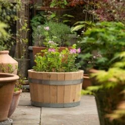 Hardwood Barrel Planter -KANG Plants Shop pr2000044967 card7 lg