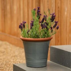 Grey Kitchen Planter 16 Grey Kitchen Planter -KANG Plants Shop pr2000044988 card7 lg