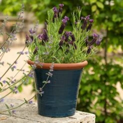 Dark Teal Kitchen Planter -KANG Plants Shop pr2000044992 card6 lg