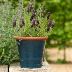 Dark Teal Kitchen Planter -KANG Plants Shop pr2000044992 card7 lg