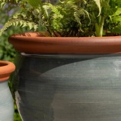 Grey Bellied Planter 9 Grey Bellied Planter -KANG Plants Shop pr2000045000 card3 lg