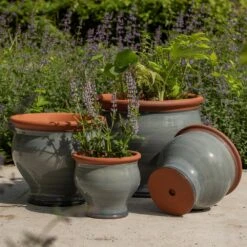 Grey Bellied Planter 11 Grey Bellied Planter -KANG Plants Shop pr2000045000 card5 lg