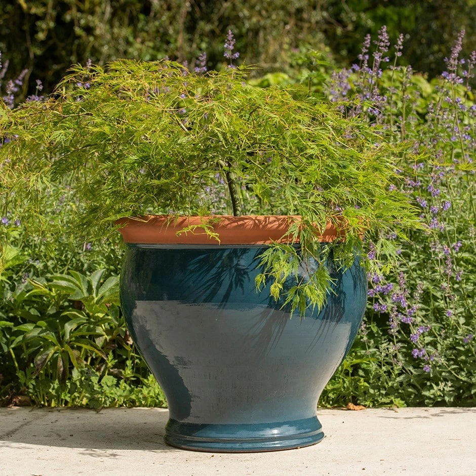 Dark Teal Bellied Planter 3 Dark Teal Bellied Planter