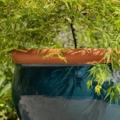 Dark Teal Bellied Planter 9 Dark Teal Bellied Planter -KANG Plants Shop pr2000045004 card3 lg