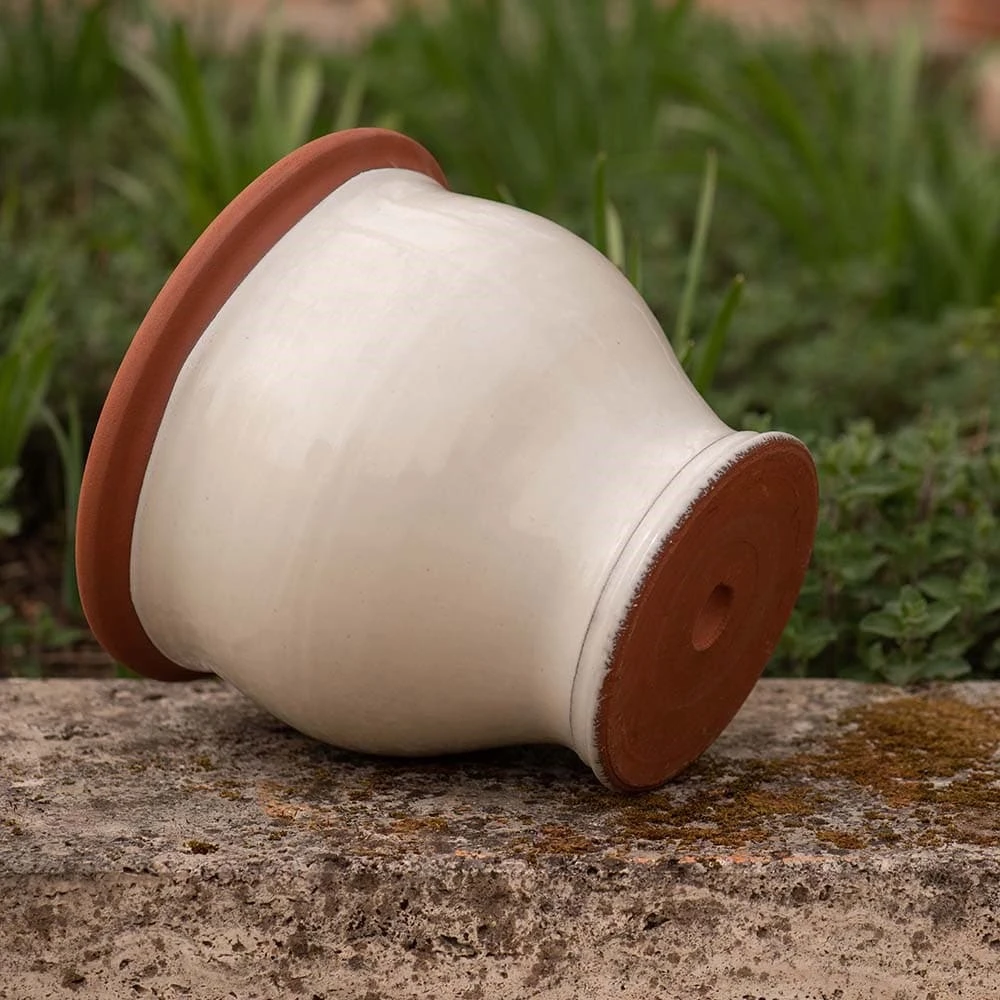 Ivory Bellied Planter 6 Ivory Bellied Planter - Image 4