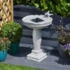 Feathered Friends Water Feature -KANG Plants Shop pr2000045040