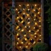 50 Buzzy Bee String Lights -KANG Plants Shop pr2000045090