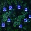10 Firefly Opal Jar String Lights 2 10 Firefly Opal Jar String Lights -KANG Plants Shop pr2000045099