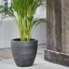 Tapered Large Plant Pot - Anthracite -KANG Plants Shop pr2000045302