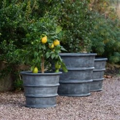 Greystoke Ribbed Planter - Aged Zinc 20 Greystoke Ribbed Planter - Aged Zinc -KANG Plants Shop pr2000046295 card9 lg