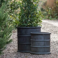 Greystoke Barrel Planter -KANG Plants Shop pr2000046297 card4 lg