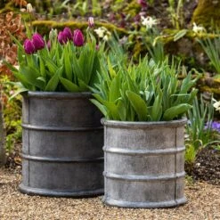 Greystoke Barrel Planter -KANG Plants Shop pr2000046297 card6 lg