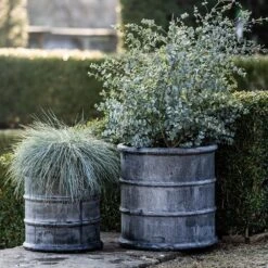 Greystoke Barrel Planter -KANG Plants Shop pr2000046297 card8 lg