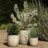 Glazed Ceramic Pot - White -KANG Plants Shop pr2000046300