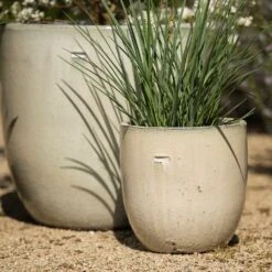 Glazed Ceramic Pot - White -KANG Plants Shop pr2000046300 card2 lg