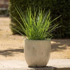 Glazed Ceramic Pot - White -KANG Plants Shop pr2000046300 card3 lg