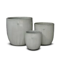 Glazed Ceramic Pot - White -KANG Plants Shop pr2000046300 card9 lg