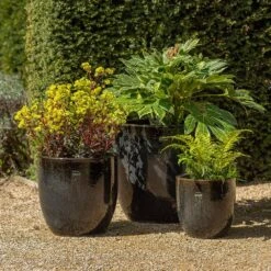 Glazed Ceramic Pot - Misty Black -KANG Plants Shop pr2000046301 card3 lg