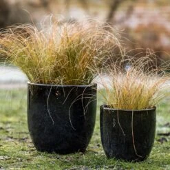 Glazed Ceramic Pot - Misty Black -KANG Plants Shop pr2000046301 card5 lg