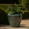 Glazed Terracotta Feature Pot - Moss Green 2 Glazed Terracotta Feature Pot - Moss Green -KANG Plants Shop pr2000046302