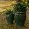 Glazed Terracotta Tulip Pot - Misty Green 1 Glazed Terracotta Tulip Pot - Misty Green -KANG Plants Shop pr2000046304