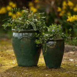 Glazed Terracotta Tulip Pot - Misty Green -KANG Plants Shop pr2000046304 card4 lg