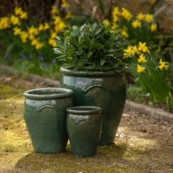 Glazed Terracotta Tulip Pot - Misty Green -KANG Plants Shop pr2000046304 card6 lg