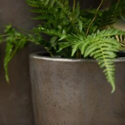 Glazed Terracotta Long Tom Pot - Matt Charcoal 8 Glazed Terracotta Long Tom Pot - Matt Charcoal -KANG Plants Shop pr2000046307 card2 lg