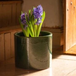 Glazed Ceramic Cylinder Crackle Green 13 Glazed Ceramic Cylinder Crackle Green -KANG Plants Shop pr2000046309 card6 lg