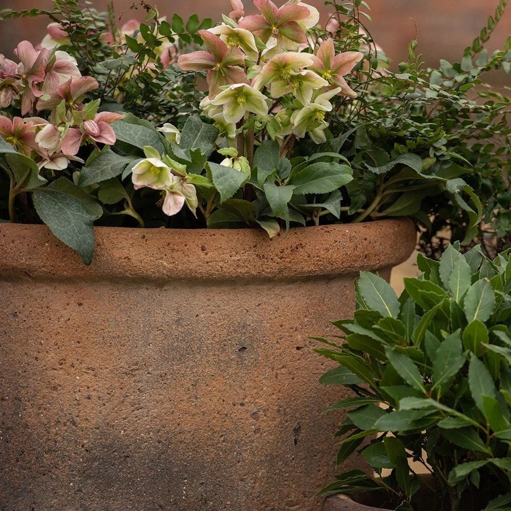 Terracotta Pot - Sandblasted 4 Terracotta Pot - Sandblasted - Image 2