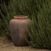 Terracotta Jar - Sandblasted -KANG Plants Shop pr2000046313
