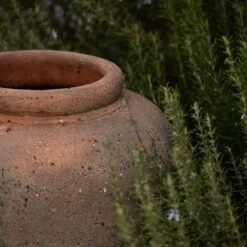 Terracotta Jar - Sandblasted -KANG Plants Shop pr2000046313 card2 lg