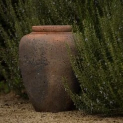 Terracotta Jar - Sandblasted -KANG Plants Shop pr2000046313 card3 lg