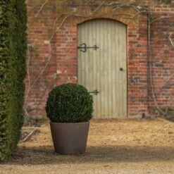 Tapered Terracotta Pot - Sandblasted 14 Tapered Terracotta Pot - Sandblasted -KANG Plants Shop pr2000046314 card6 lg