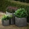 Cement Cube Pot - Waxed -KANG Plants Shop pr2000046317